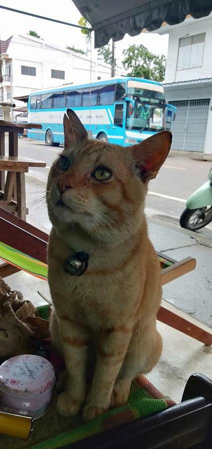 Hotel Baan Klang Soi Prachuap Khiri Khan Esterno foto